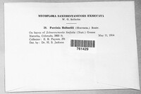 Image Associated With the Occurence